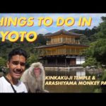 Things To Do In Kyoto, Kinkaku-ji + Arashiyama Monkey Park | Japan Travel Vlog