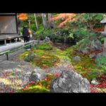 【4K】Kyoto Autumn Leaves Hidden Spot 2019 Eisyou-in – 京都紅葉の穴場 穴場度高め 栄摂院 | Japan walking guide