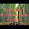 【4K guide】Arashiyama,Kyoto Bamboo pathway in daytime