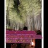 Kyoto Arashiyama Flower Light Path 2019 Light Up Part 3 京都嵐山花灯路2019 ライトアップ パート3