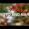 Travel Vlog // Kyoto and Nara