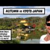 Fushimi Inari, Kinkakuji, Toji | KYOTO, JAPAN | Kyoto Travel Guide