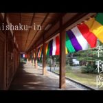 【4K】京都・智積院　名勝庭園 Chishaku-in temple Kyoto Japan