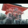 Kyoto X Osaka – Travel with My Family